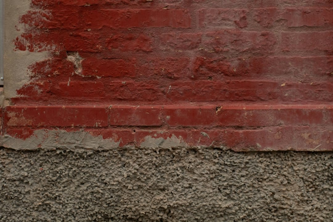 Subterranean termite mud tubes visible along a concrete wall base